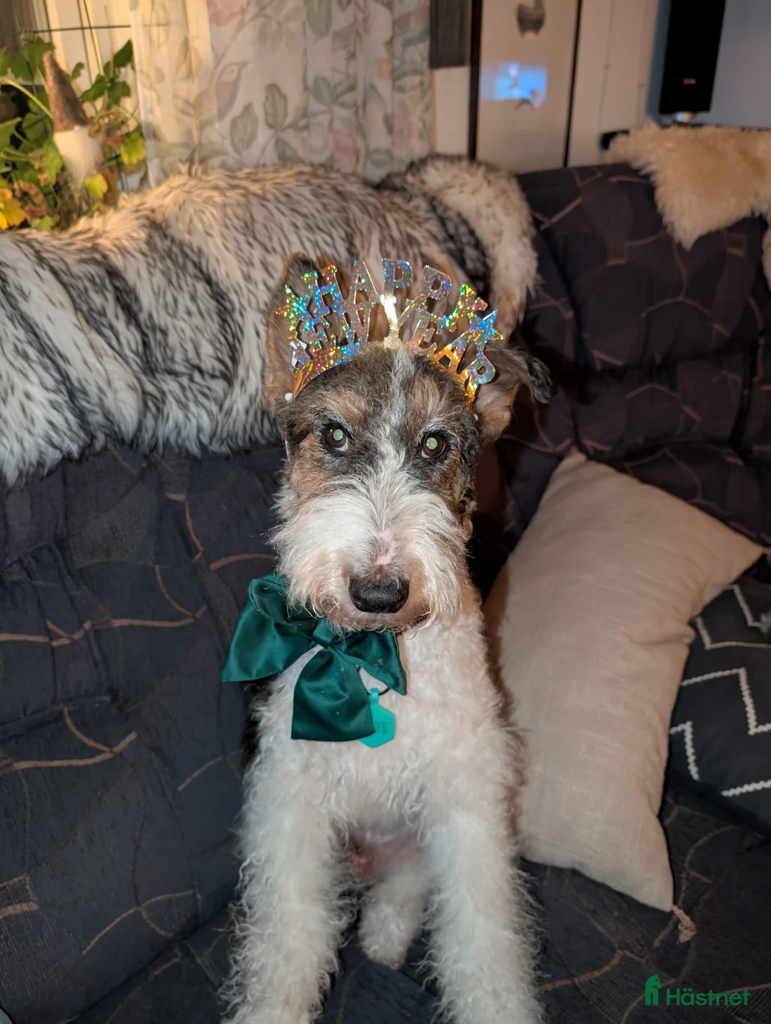 Galleribild {{count}}