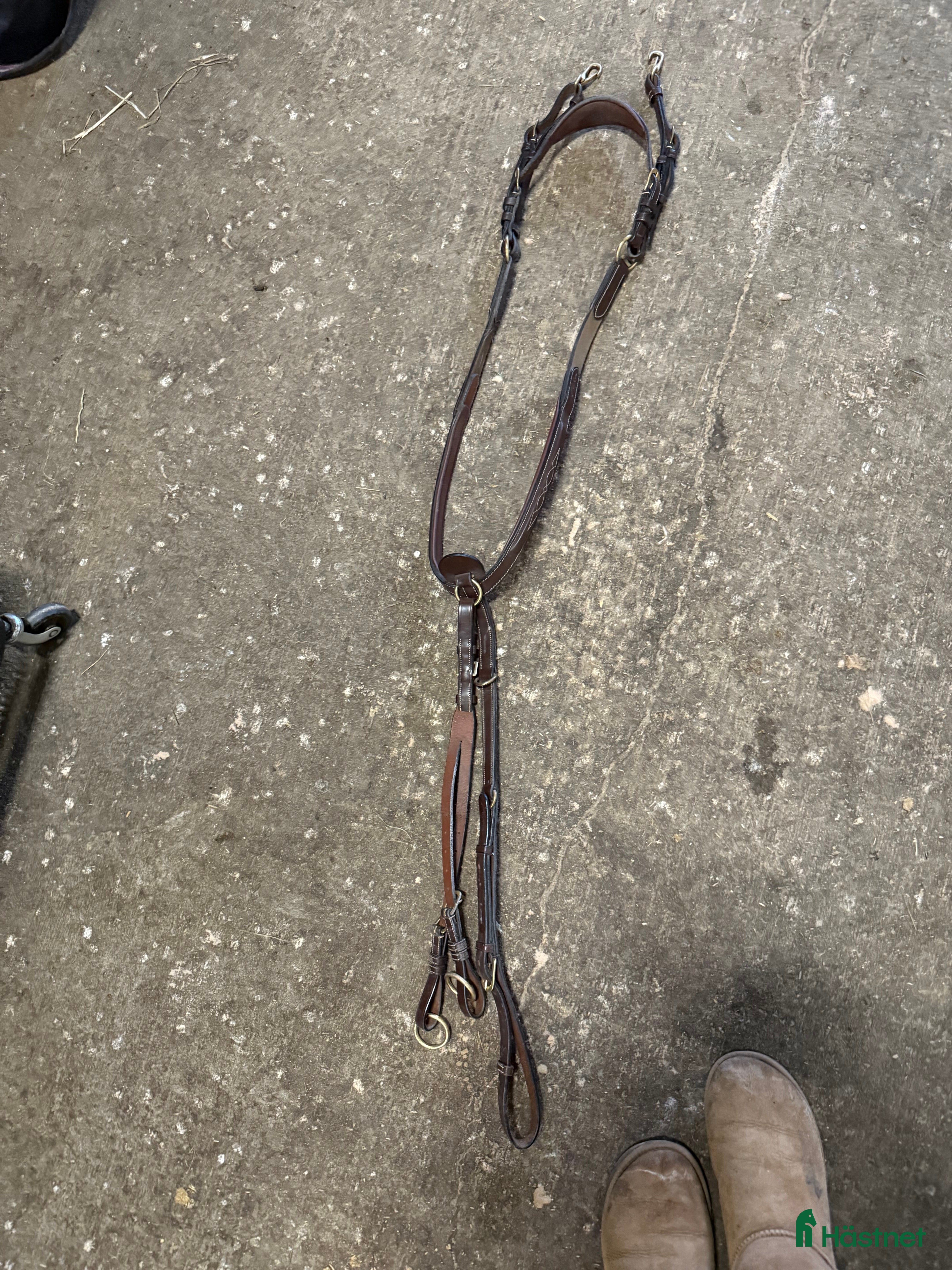 Sadeltillbehör hästutrustning till salu: Superfin Förbygel från Dyon! i Höllviken - Annons 1