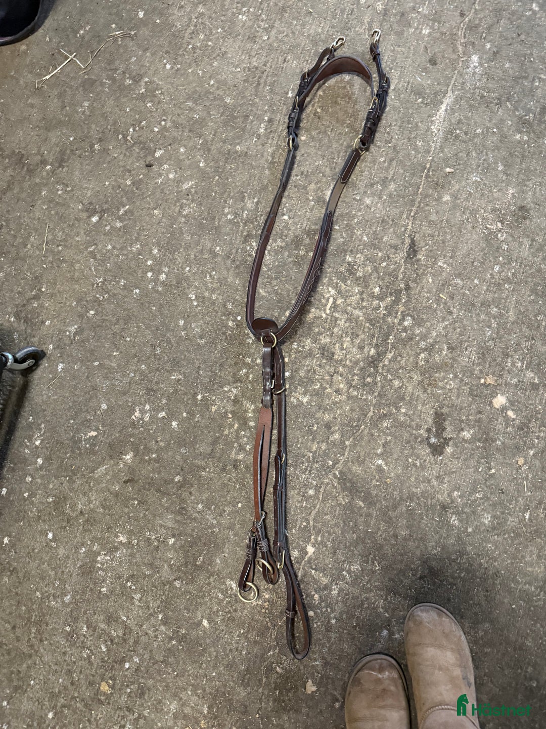 Sadeltillbehör hästutrustning till salu: Superfin Förbygel från Dyon! i Höllviken - Annons 1
