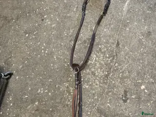 Sadeltillbehör hästutrustning till salu: Superfin Förbygel från Dyon! - Annons 2