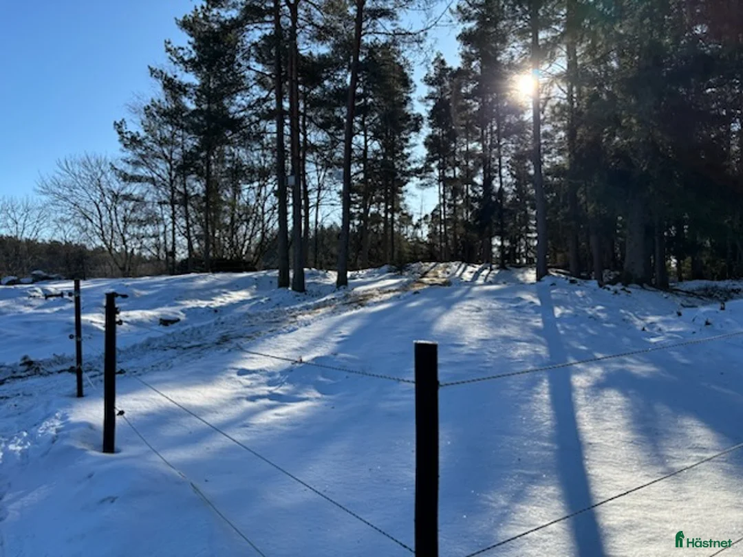  stallplats finnes: Ledig stallplats i Mölnlycke 🌿 - Annons 3