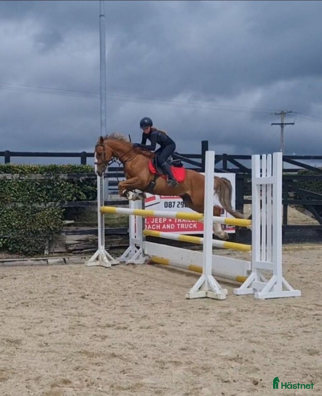 Hoppning hästar till salu: Amazing pony i Göteborg - Annons 3