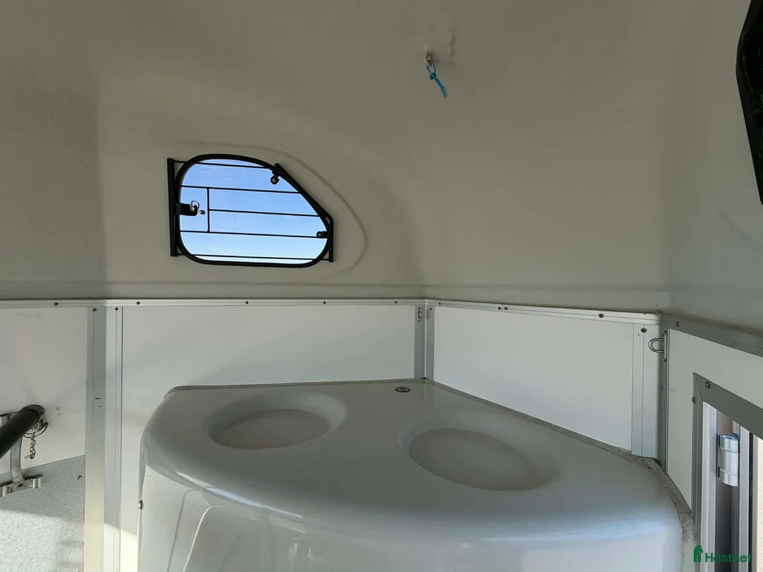 Hästtransporter  fordon & transport till salu: Cheval Liberte Gold i nyskick! - Annons 14