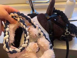 Hästinspirerad heminredning övrig utrustning till salu: Fin käpphäst!🤎🤍 - Annons 2