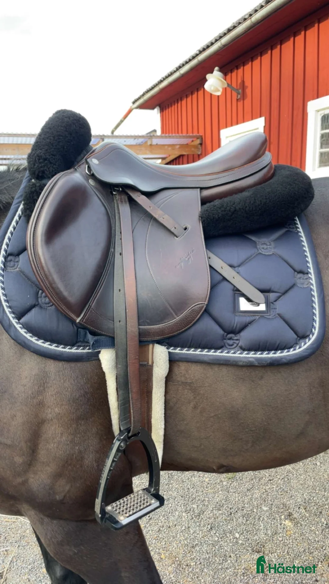 Sadlar hästutrustning till salu: Expression Linnéa Special fint skick - Annons 2