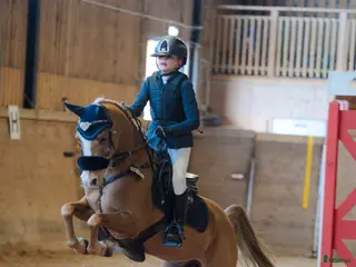 hästar Underbart B-ponny sto - Annons 2