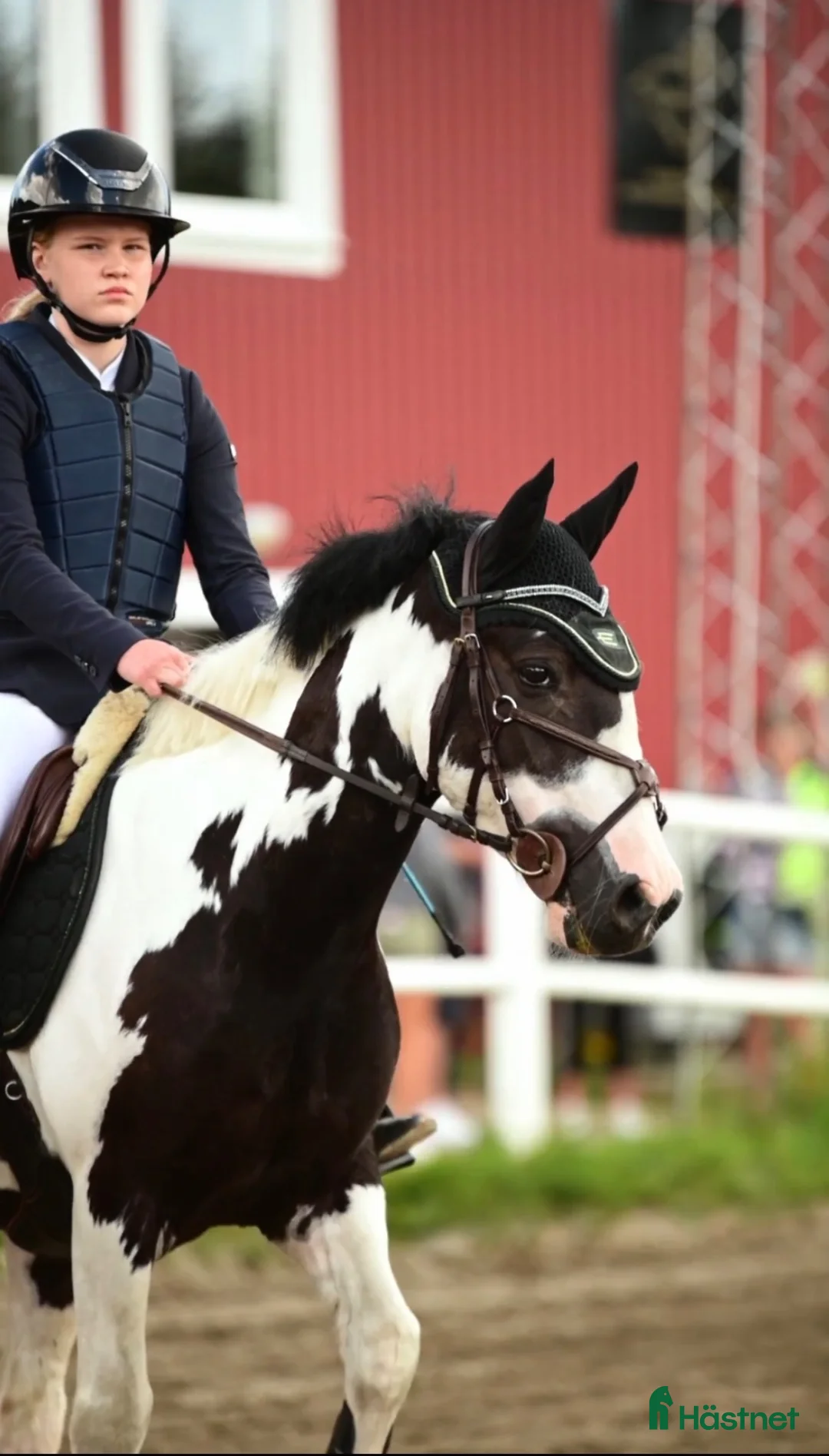 Hoppning hästar till salu: Maxad B ponny  - Annons 1