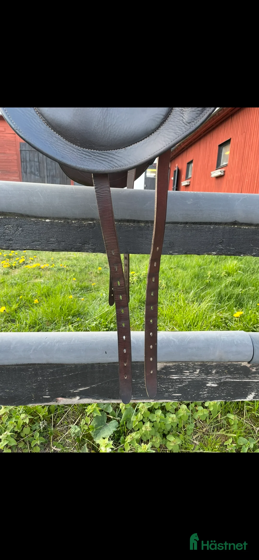 Sadlar hästutrustning till salu: Childeric DHE 17’ i Vallentuna - Annons 7