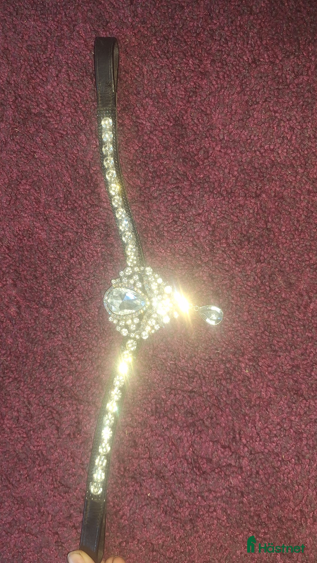 Träns hästutrustning till salu: 🌟Panband till salu🌟 i Nora - Annons 3