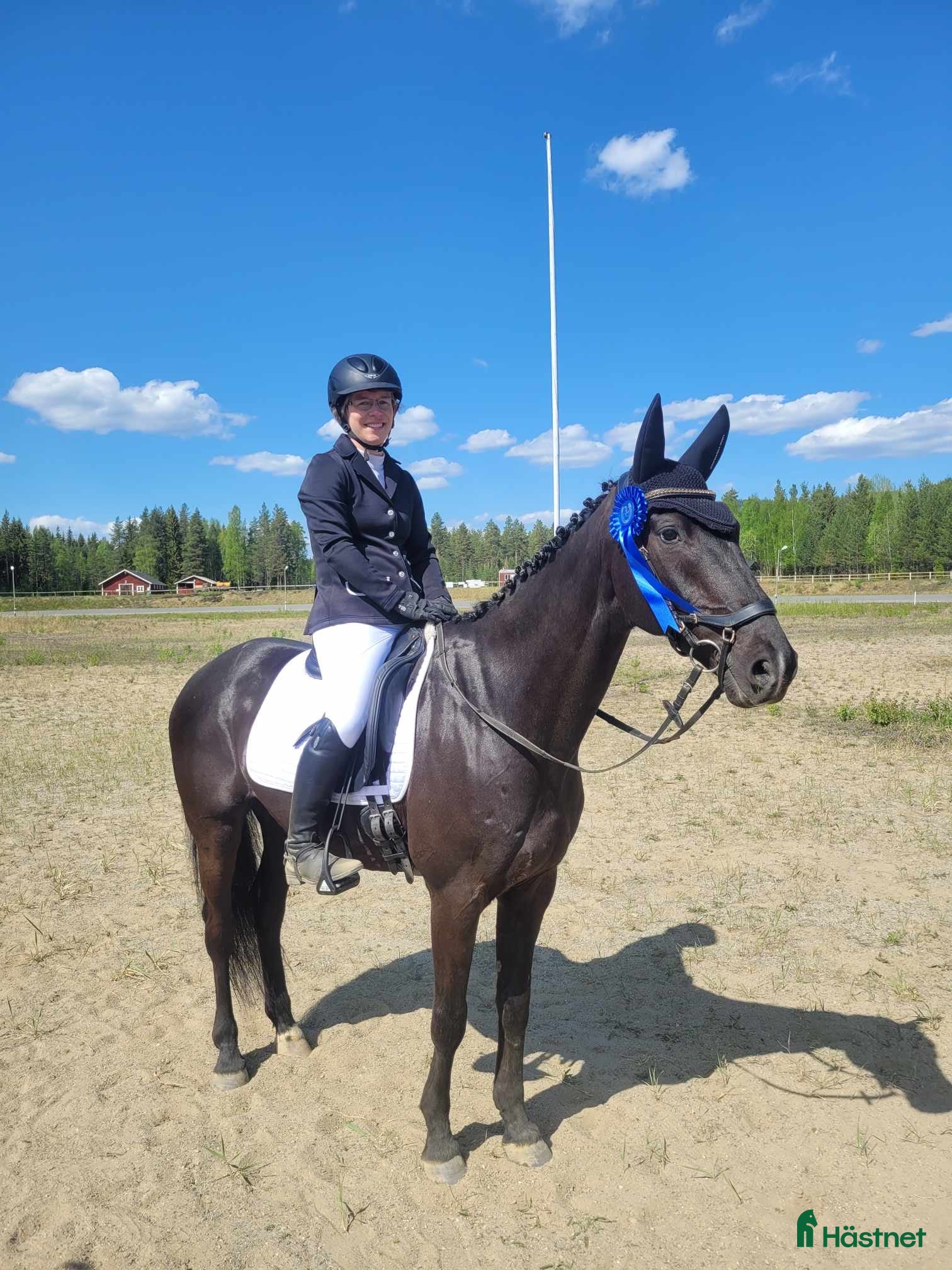 Allround hästar till salu: Snäll, elegant och känslig valack med stort hjärta - Annons 5