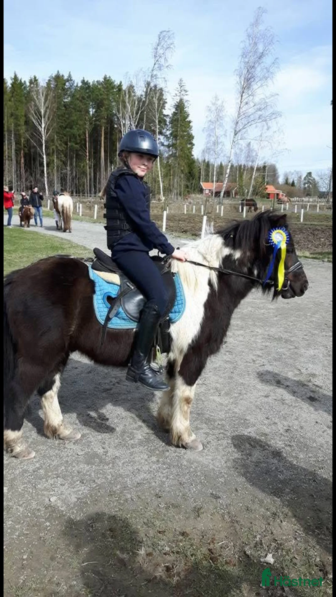  hästjobb finnes: Söker jobb och utbildning  - Annons 2