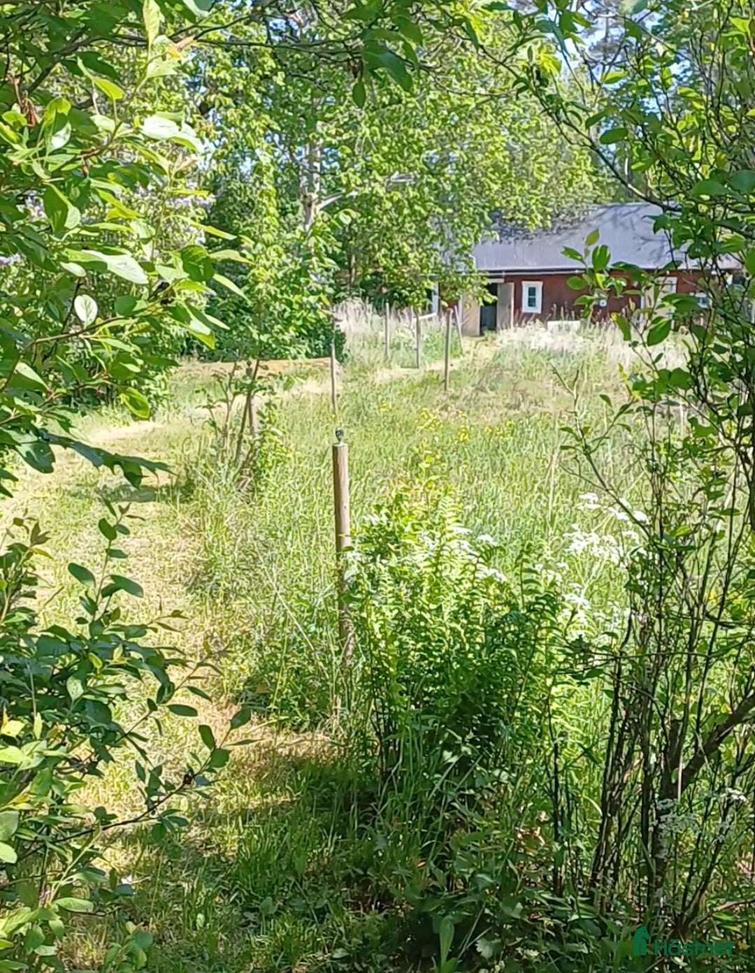 Allround hästar sökes: Mor och dotter ponny sökes.... i Tranås - Annons 1