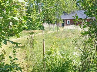 hästar Mor och dotter ponny sökes.... i Tranås - Annons 4