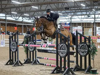 hästar Hoppsto - Annons 8