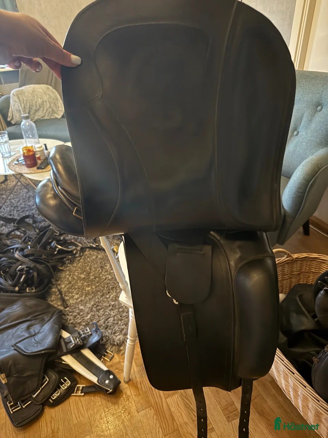 Sadlar hästutrustning till salu: Garri Sadel 17 tum vid. - Annons 4