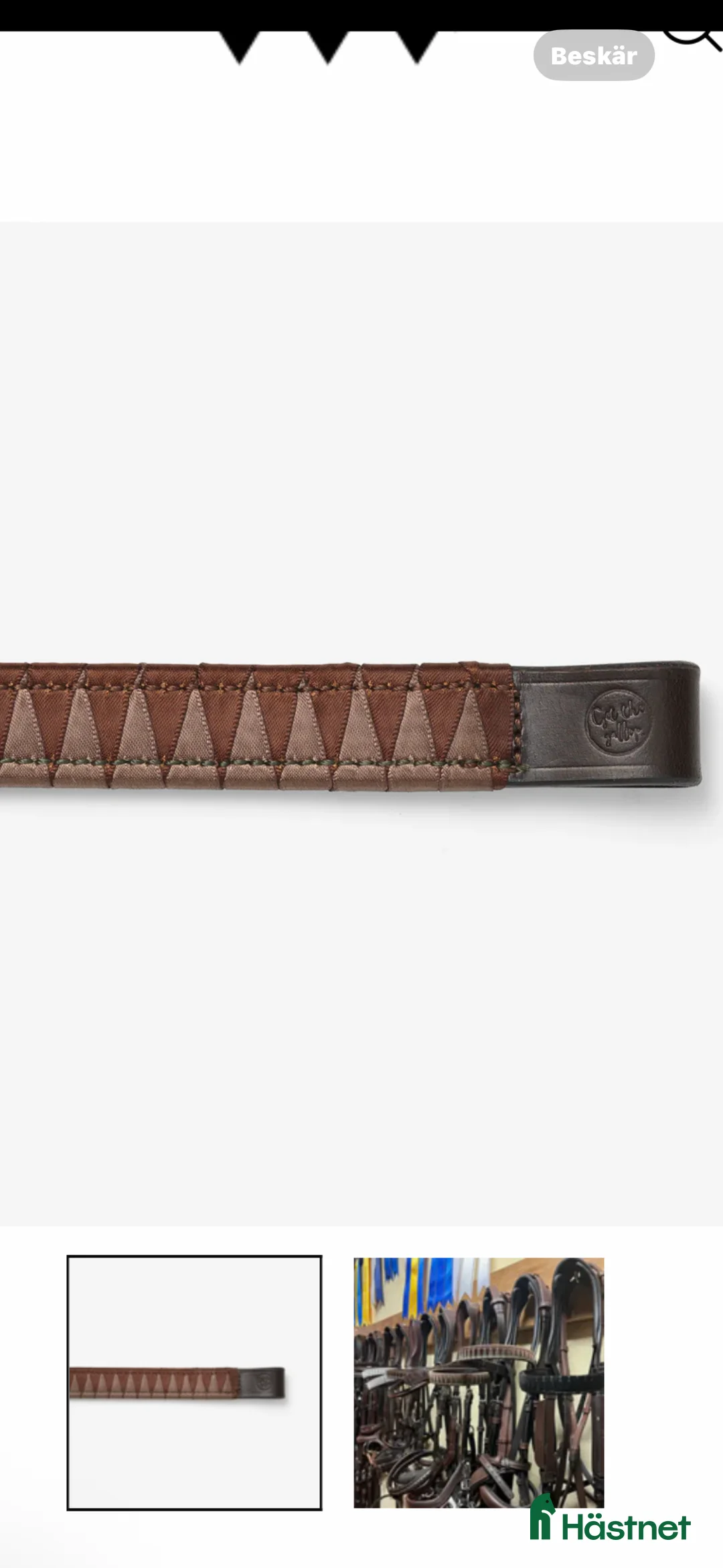 Träns hästutrustning till salu: Önskas träns pannband  i Malmö - Annons 1