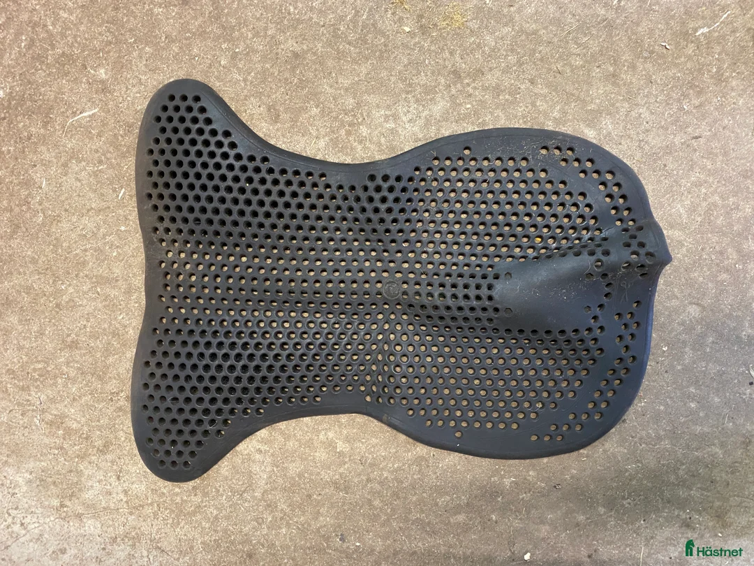 Övrig Hästutrustning hästutrustning till salu: Häst och stall utrustning  - Annons 9