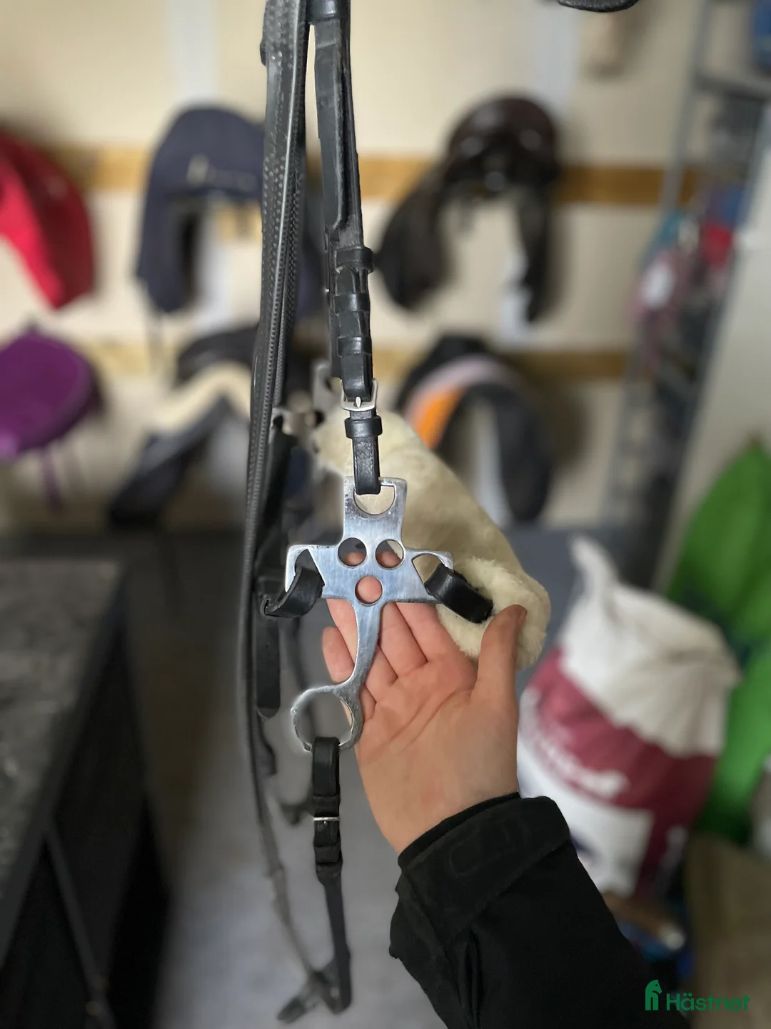 Träns hästutrustning till salu: Hackamore - Annons 2