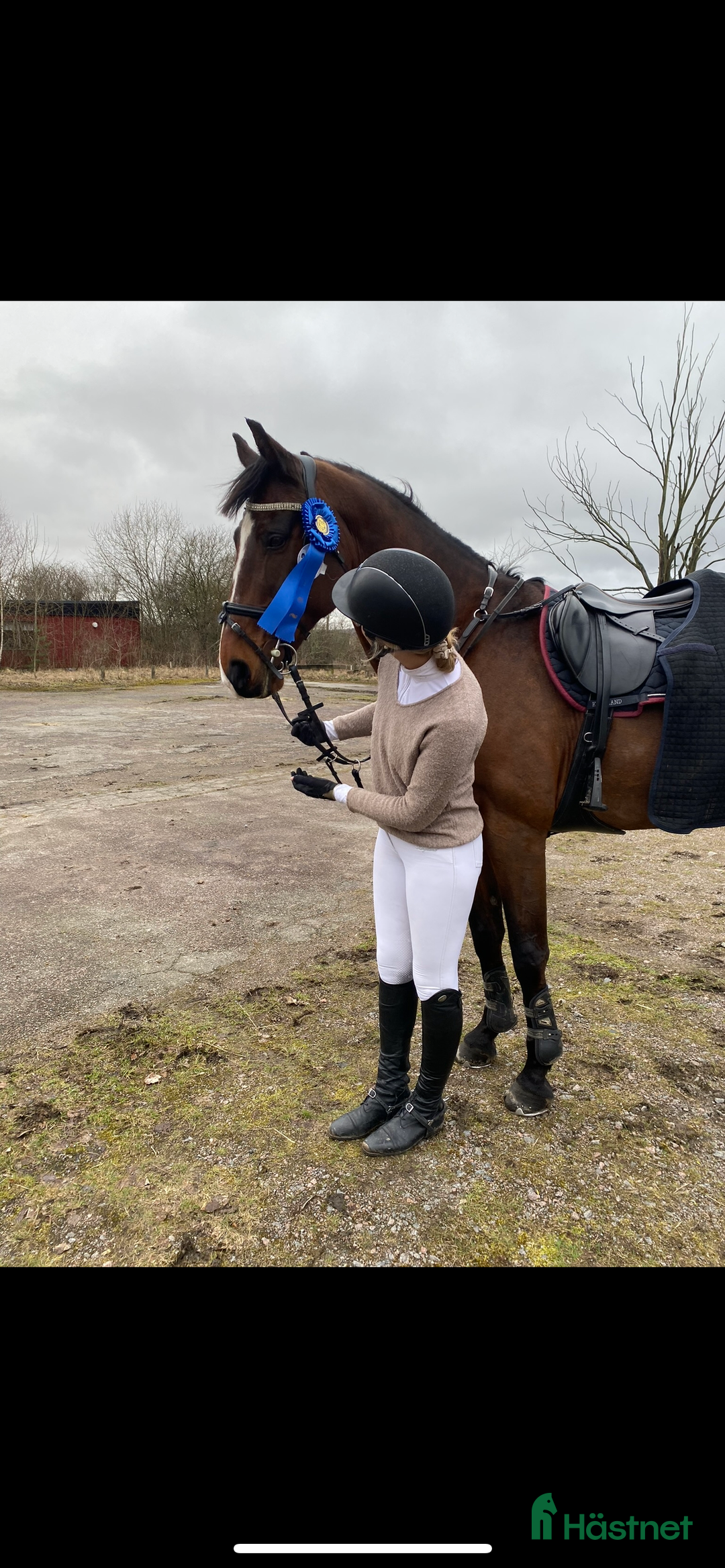 Hoppning hästar till salu: En bästavän och läromästare i Jonsered - Annons 3