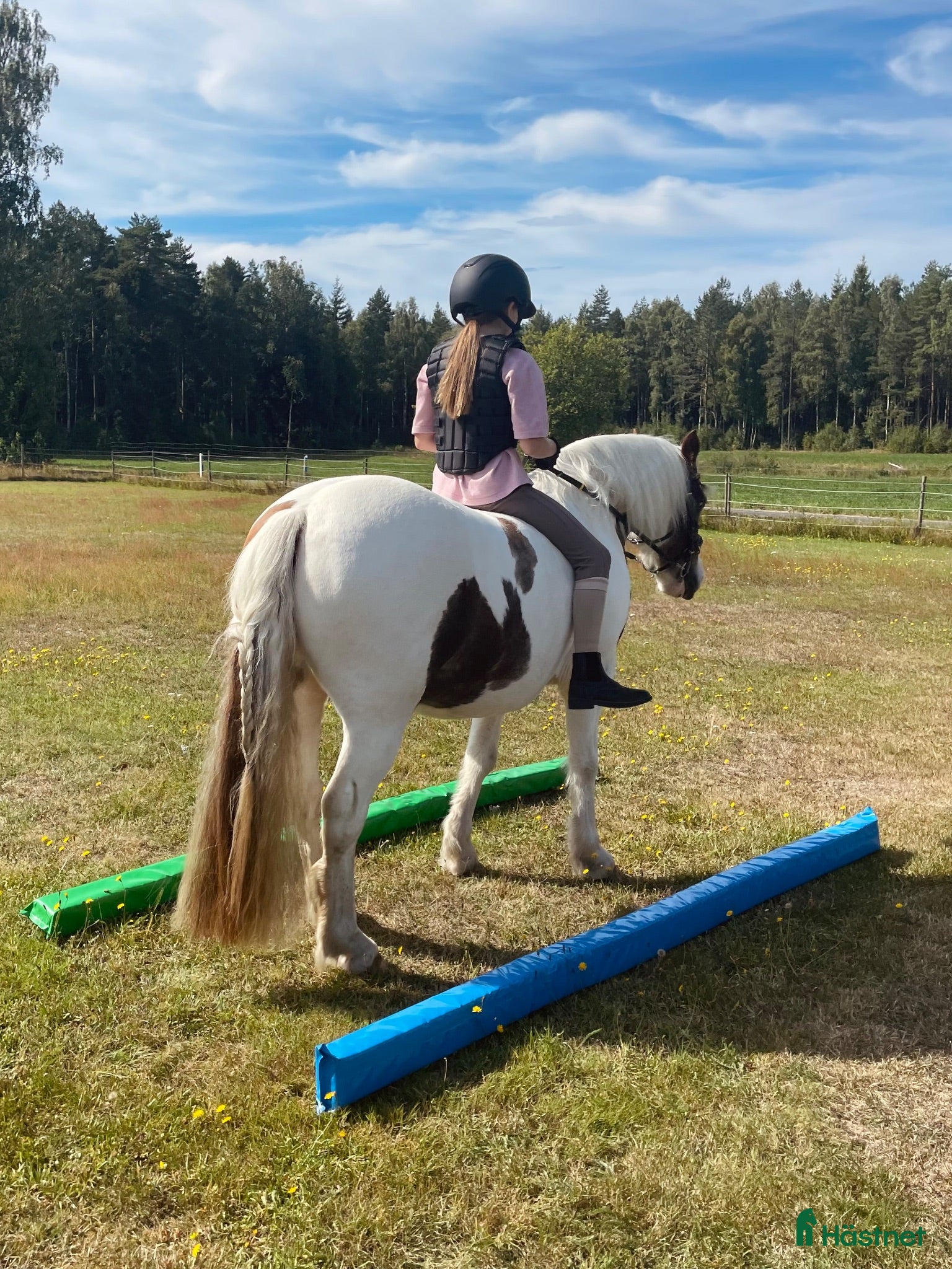  stallplats Plats i litet stall utanför Jönköping  - Annons 11