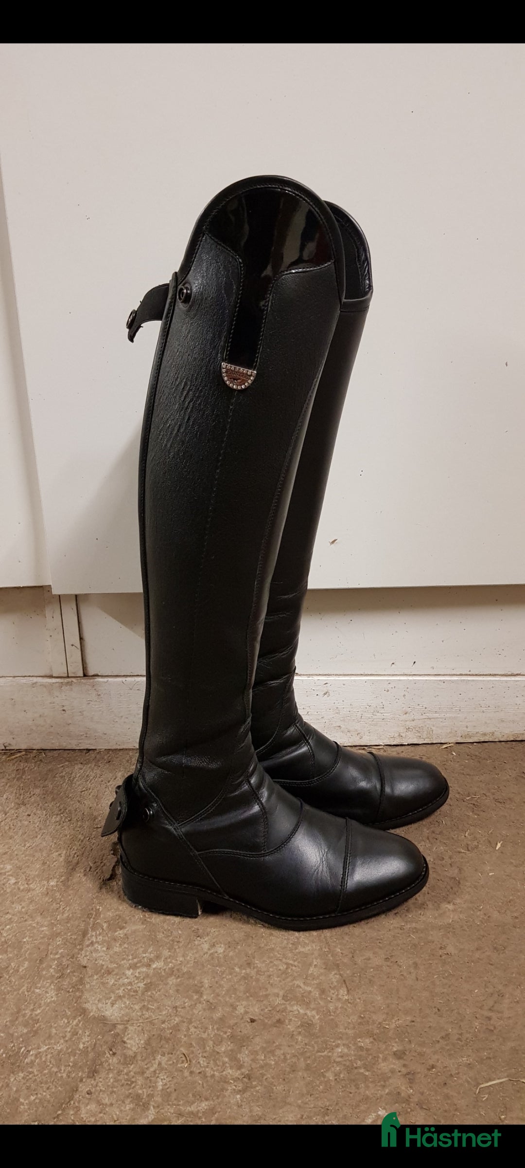 Ridstövlar ryttarutrustning till salu: Ridstövlar Pioneer i Höör - Annons 1