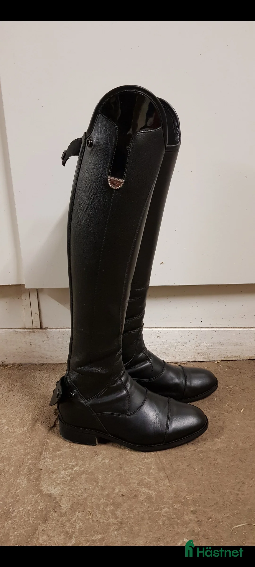 Ridstövlar ryttarutrustning till salu: Ridstövlar Pioneer i Höör - Annons 1