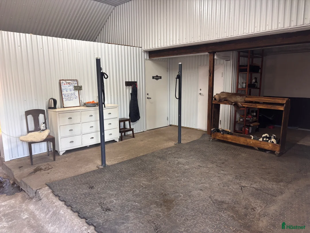  stallplats finnes: Boxplatser - Annons 2