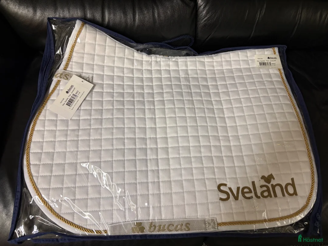 Schabrak & Vojlockar hästutrustning till salu: Vitt schabrak med flätad guldkant från Bucas - Annons 1