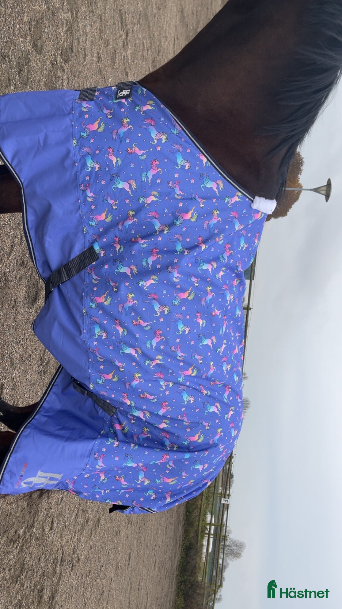 Täcken hästutrustning Fantastiskt fint täcke  - Annons 4
