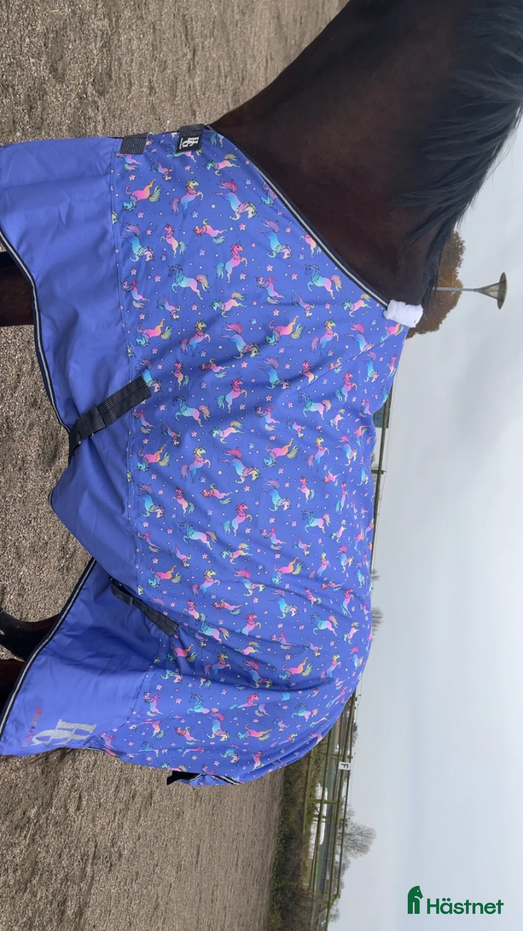 Täcken hästutrustning till salu: Fantastiskt fint täcke  - Annons 1