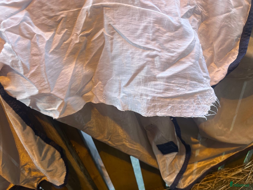 Täcken hästutrustning till salu: Säljer billiga flugtäcken! i Forserum - Annons 6