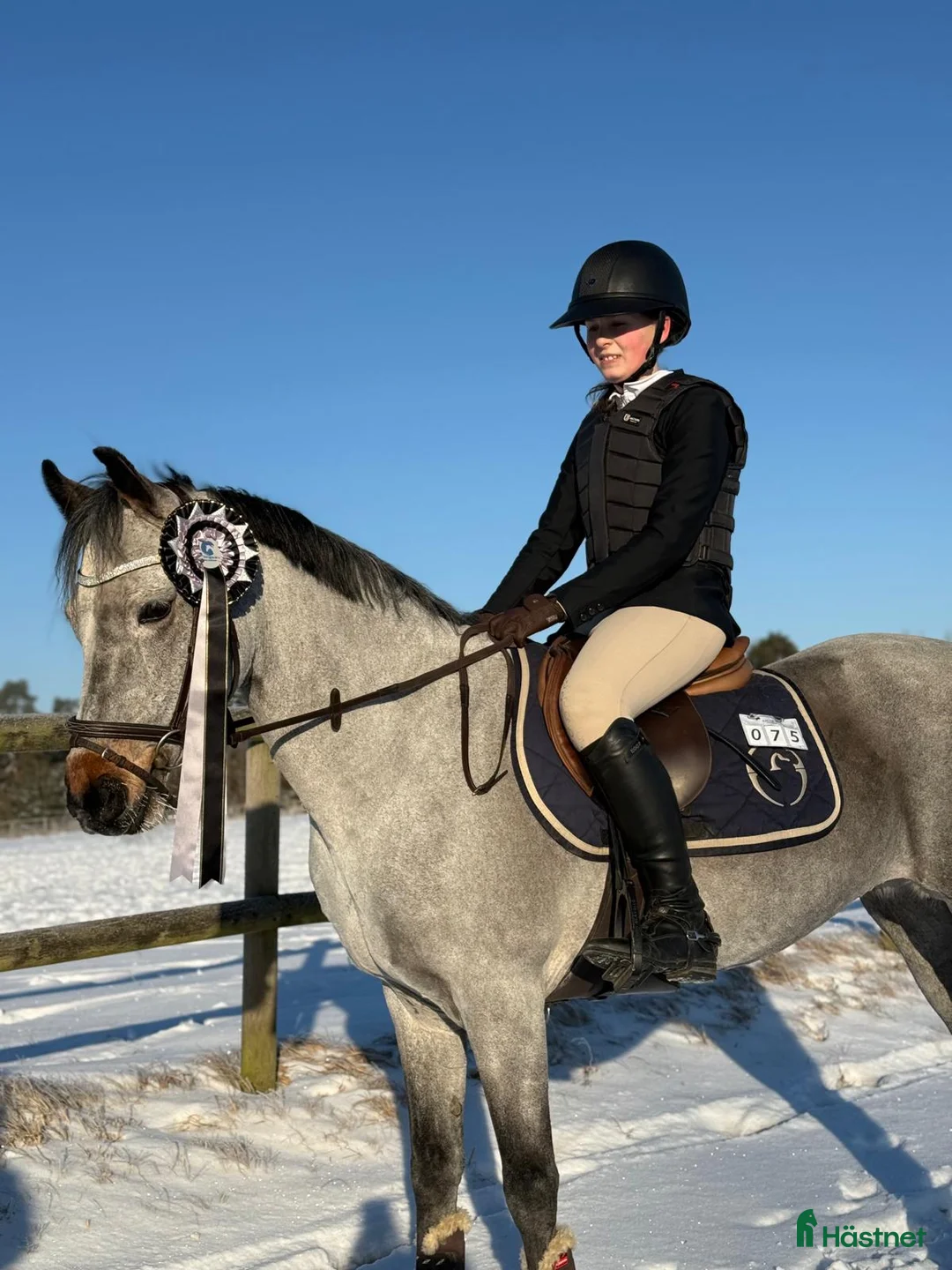 Allround hästar till salu: Perfekt läromästare/första ponny i Hjärtum - Annons 1