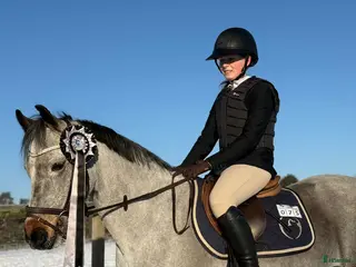 hästar Perfekt läromästare/första ponny i Hjärtum - Annons 4