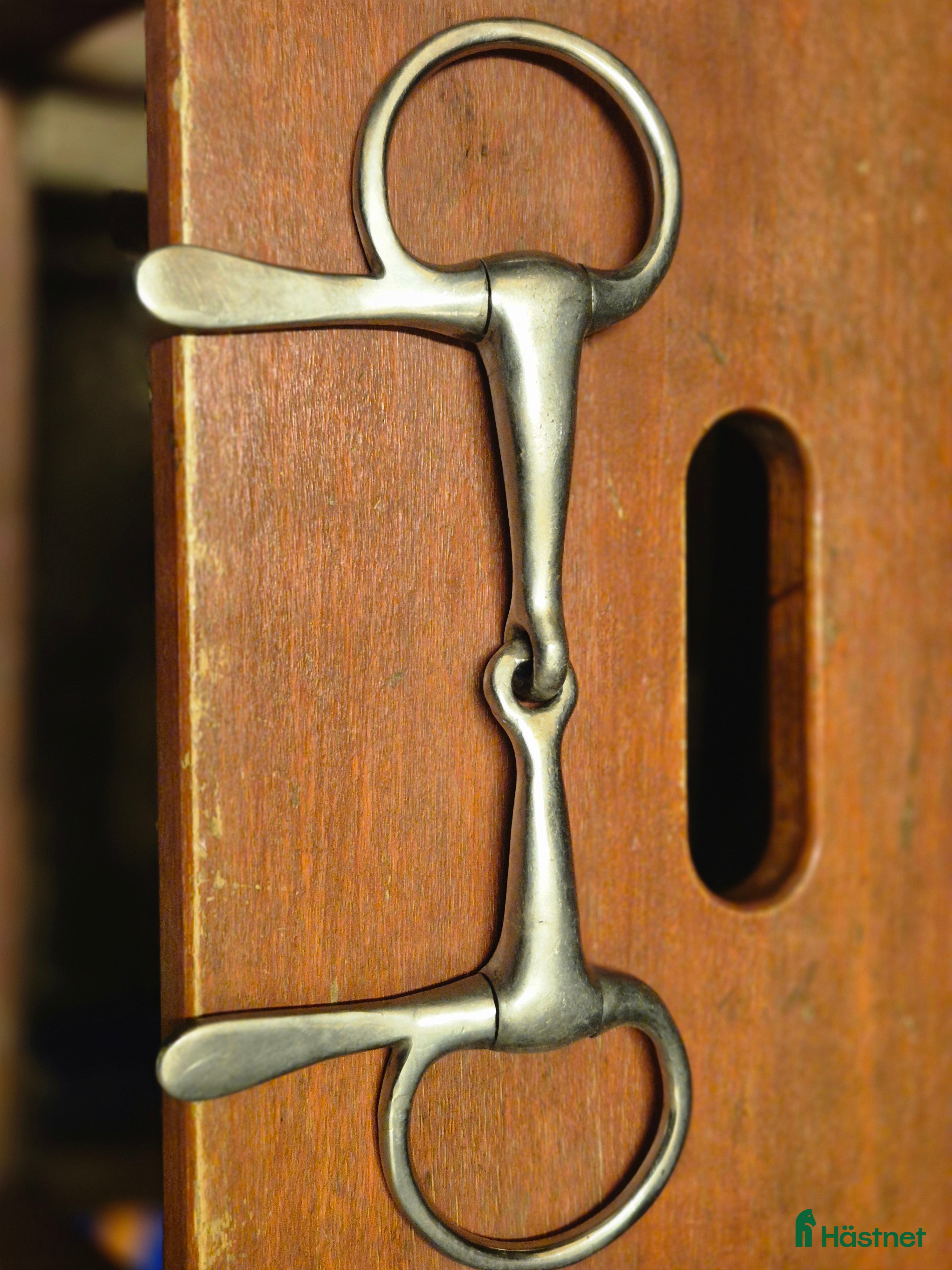 Bett hästutrustning Körbett i Hallstavik - Annons 7