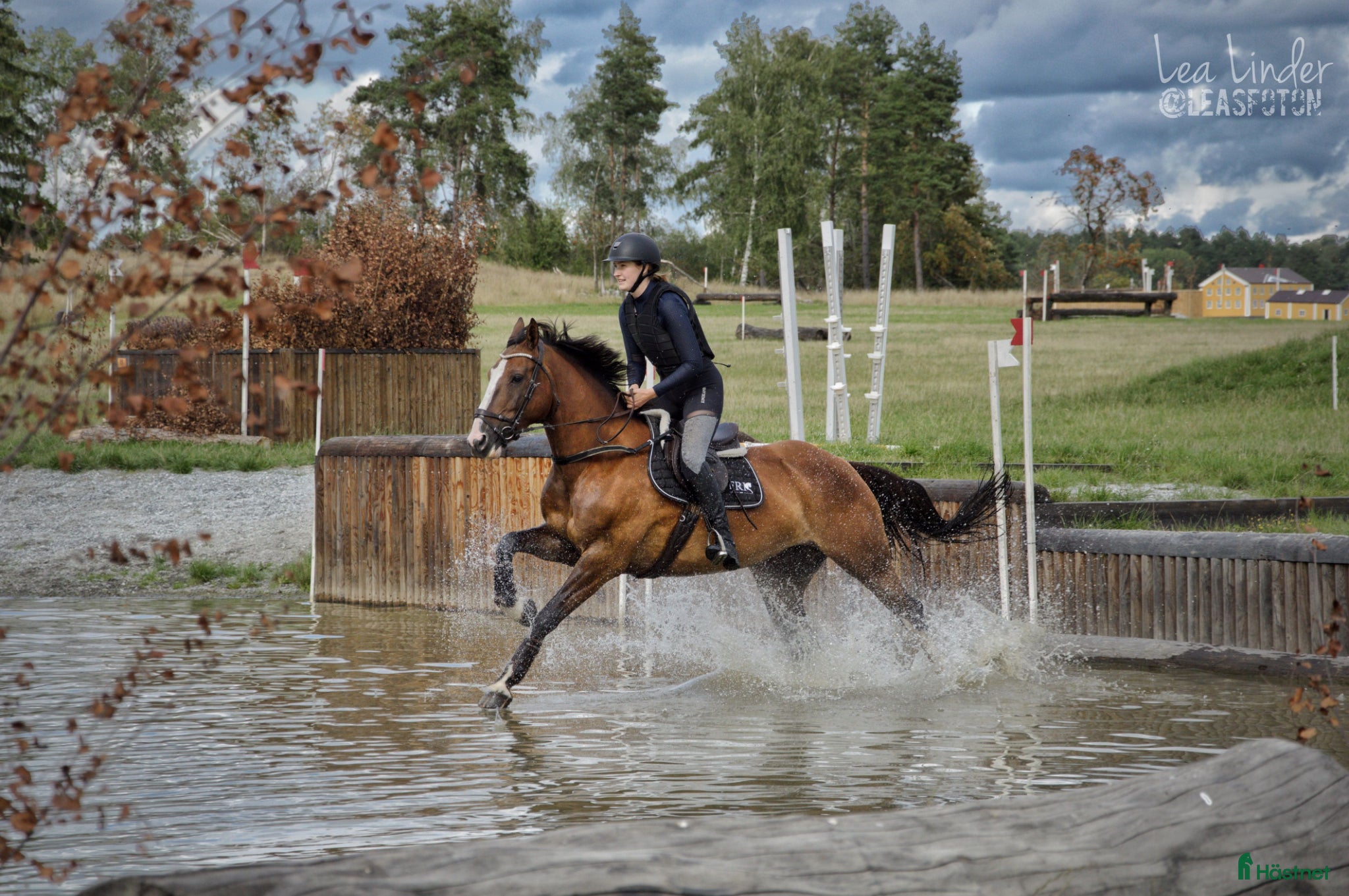  hästar Allround bästa vän - Annons 14