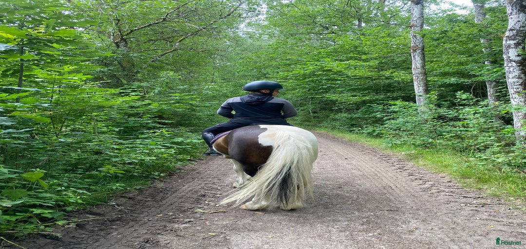 Galleribild {{count}}