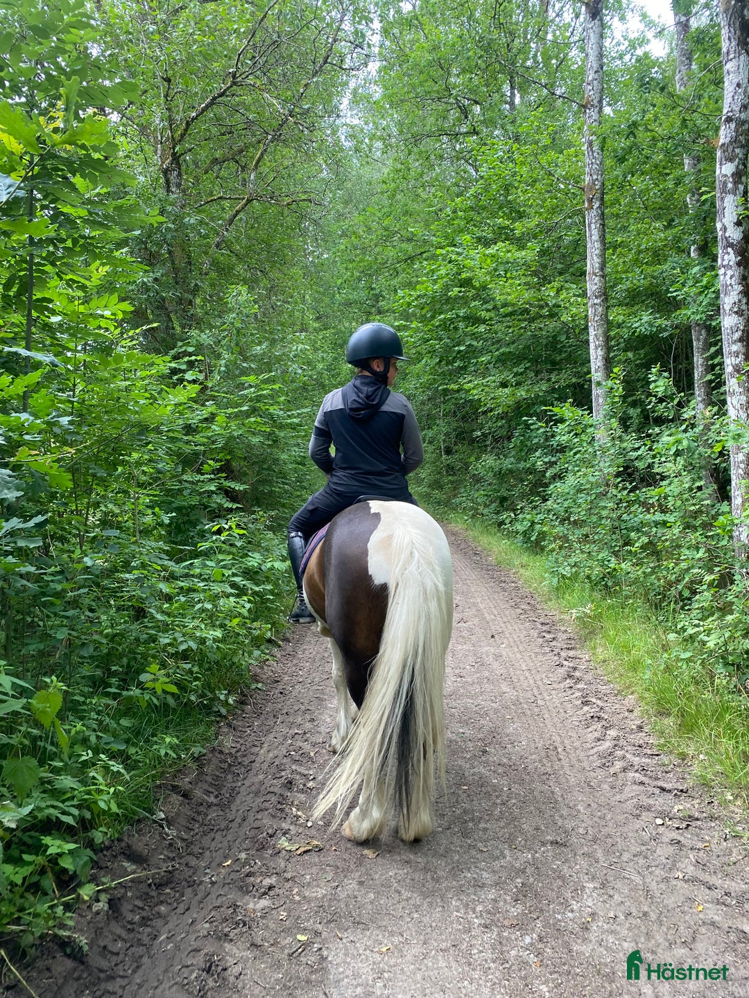 Galleribild {{count}}