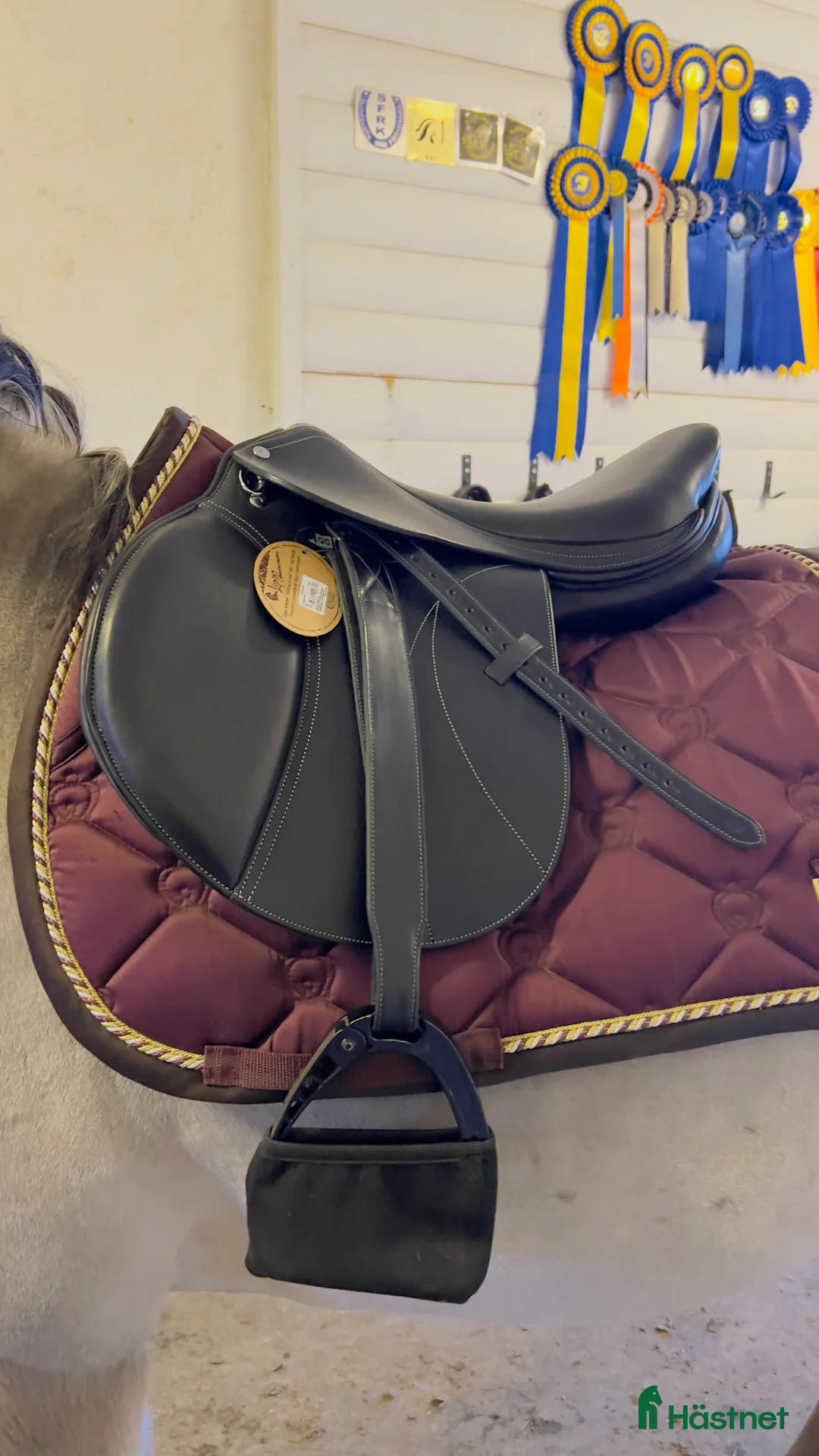 Allround hästar till salu: Käck ponny  - Annons 4