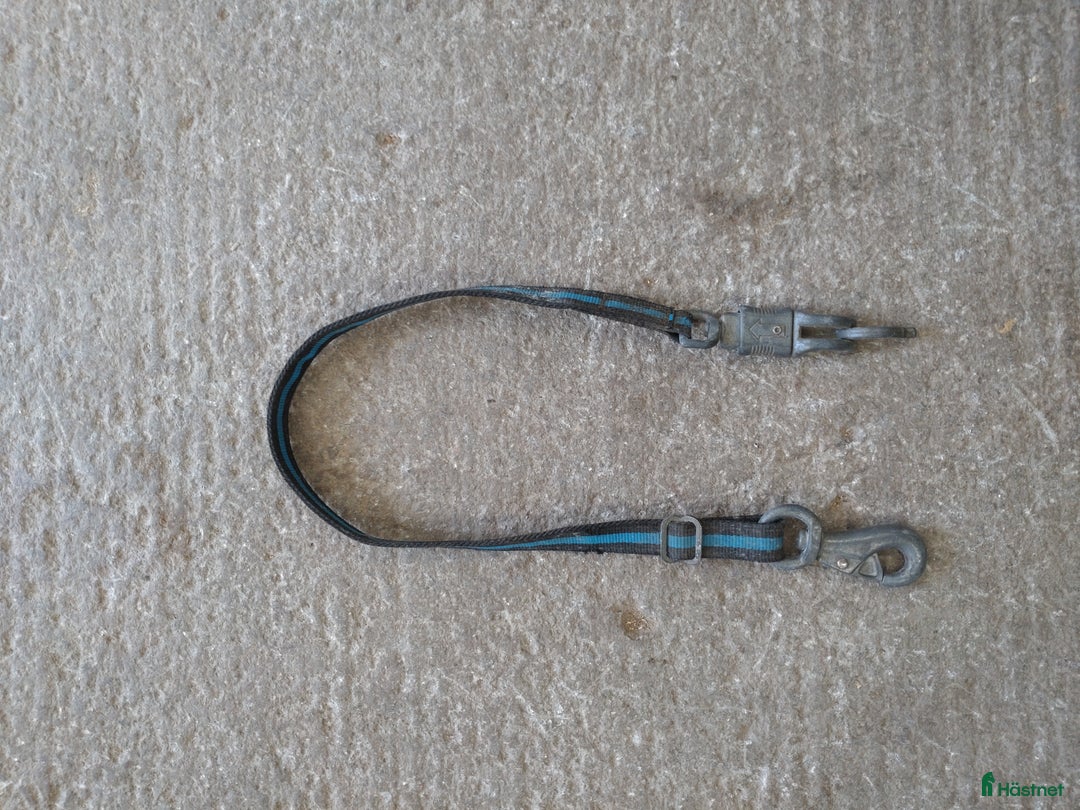 Övrig Hästutrustning hästutrustning till salu: Allt ska bort  i Knivsta - Annons 8