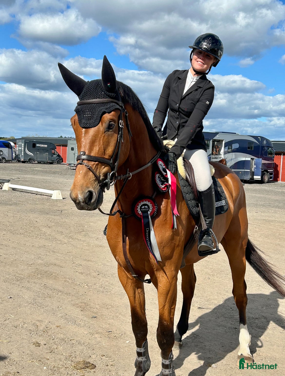  hästar Snygg och sportig valack  i Västervik - Annons 1