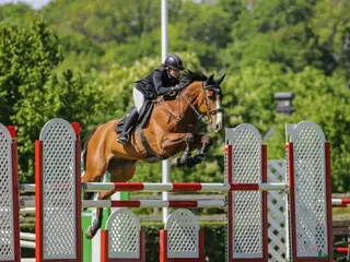 hästar Letar efter en trevlig bästa kompis 🐴💛 - Annons 7