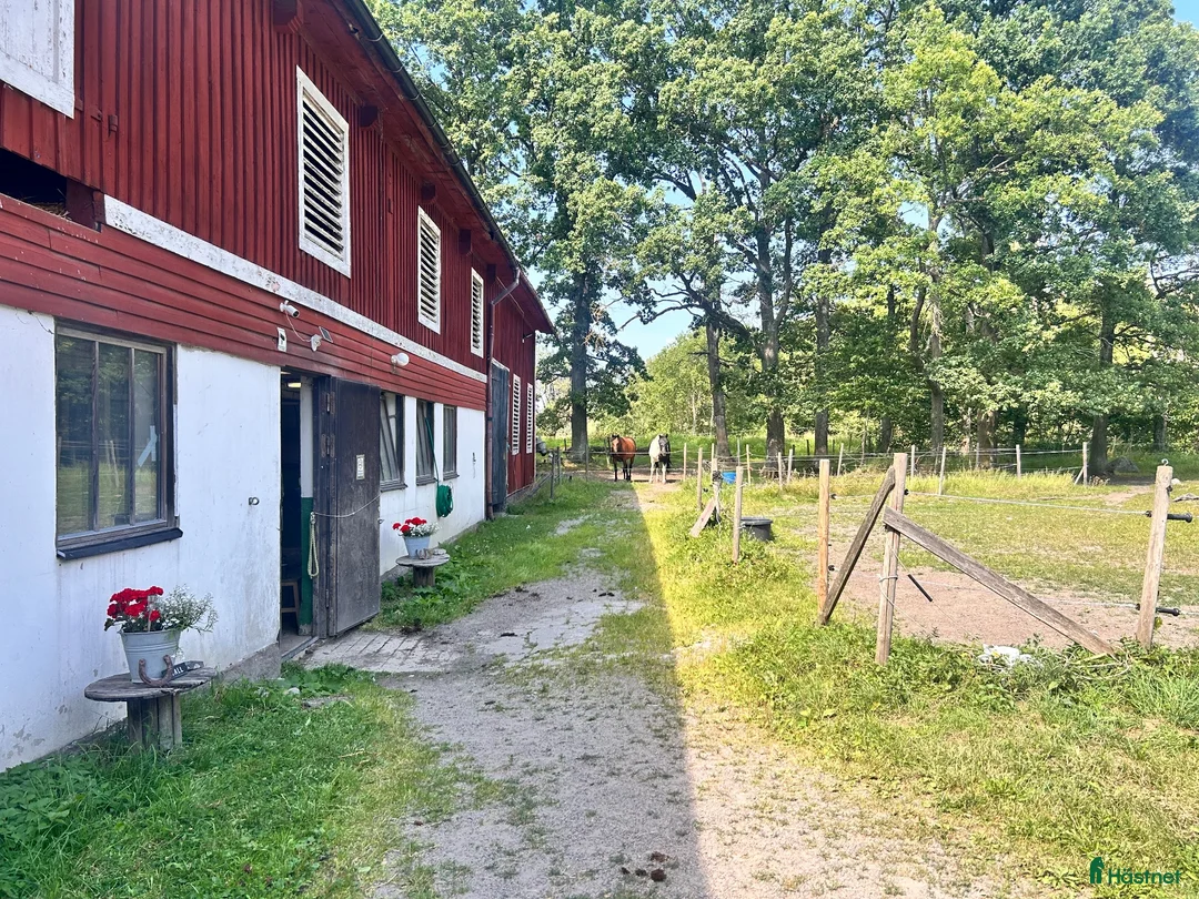 stallplats finnes: Stallplats Norrköping -Gamla Övägen i Norrköping - Annons 1