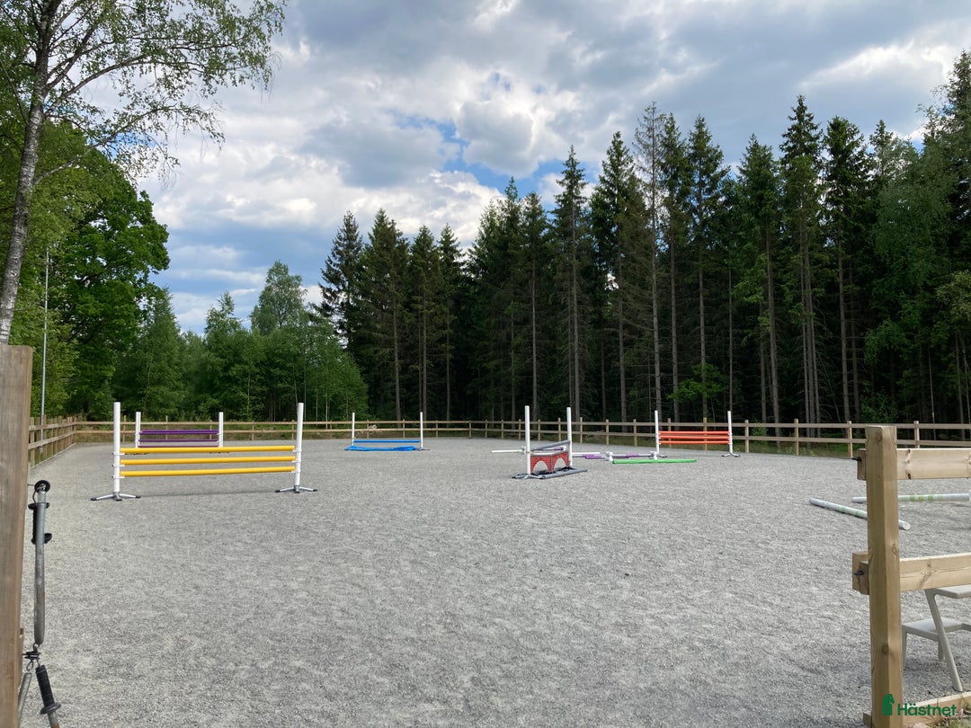  stallplats finnes: Lediga stallplatser Älmhult i Älmhult - Annons 3