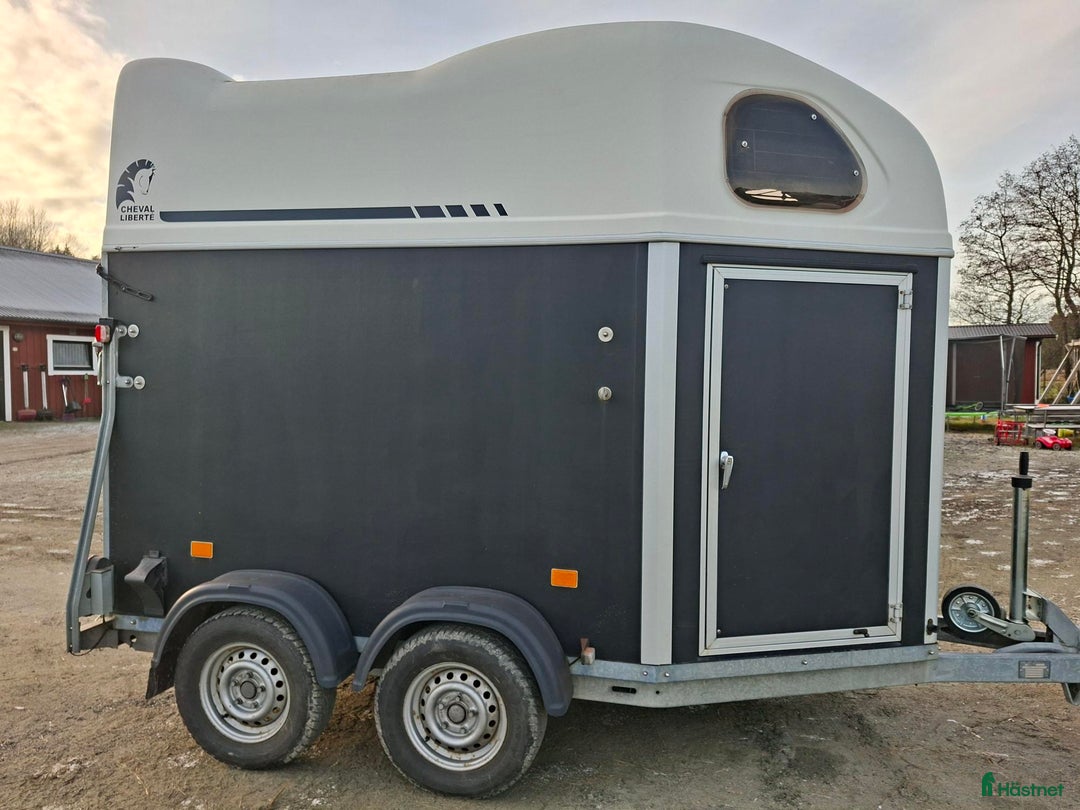 Hästtransporter  fordon & transport till salu: Cheval Liberté Gold First i Harestad - Annons 3