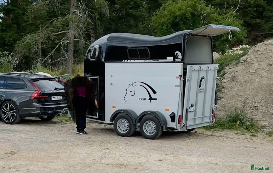 Hästtransporter  fordon & transport till salu: Cheval Liberte Gold Pullman V2 2018 - Annons 2