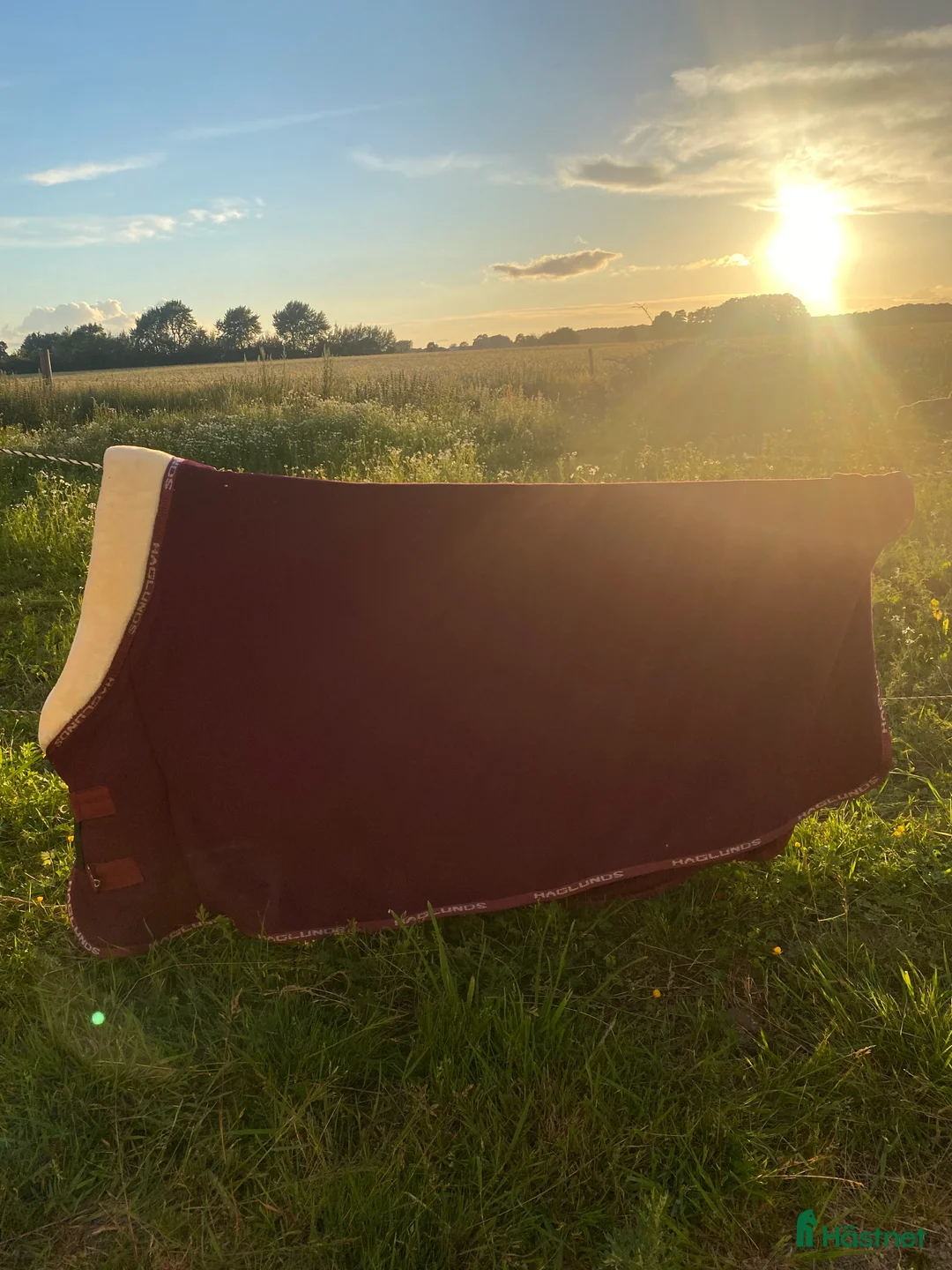 Täcken hästutrustning till salu: Vinrött tävlings täcke  i Hörby - Annons 2