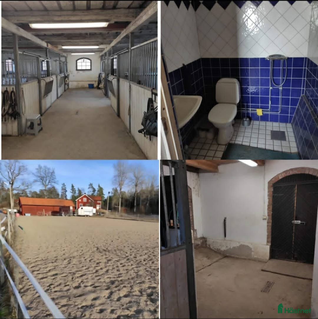  stallplats Lösdrift för valacker/hingstar - Annons 2