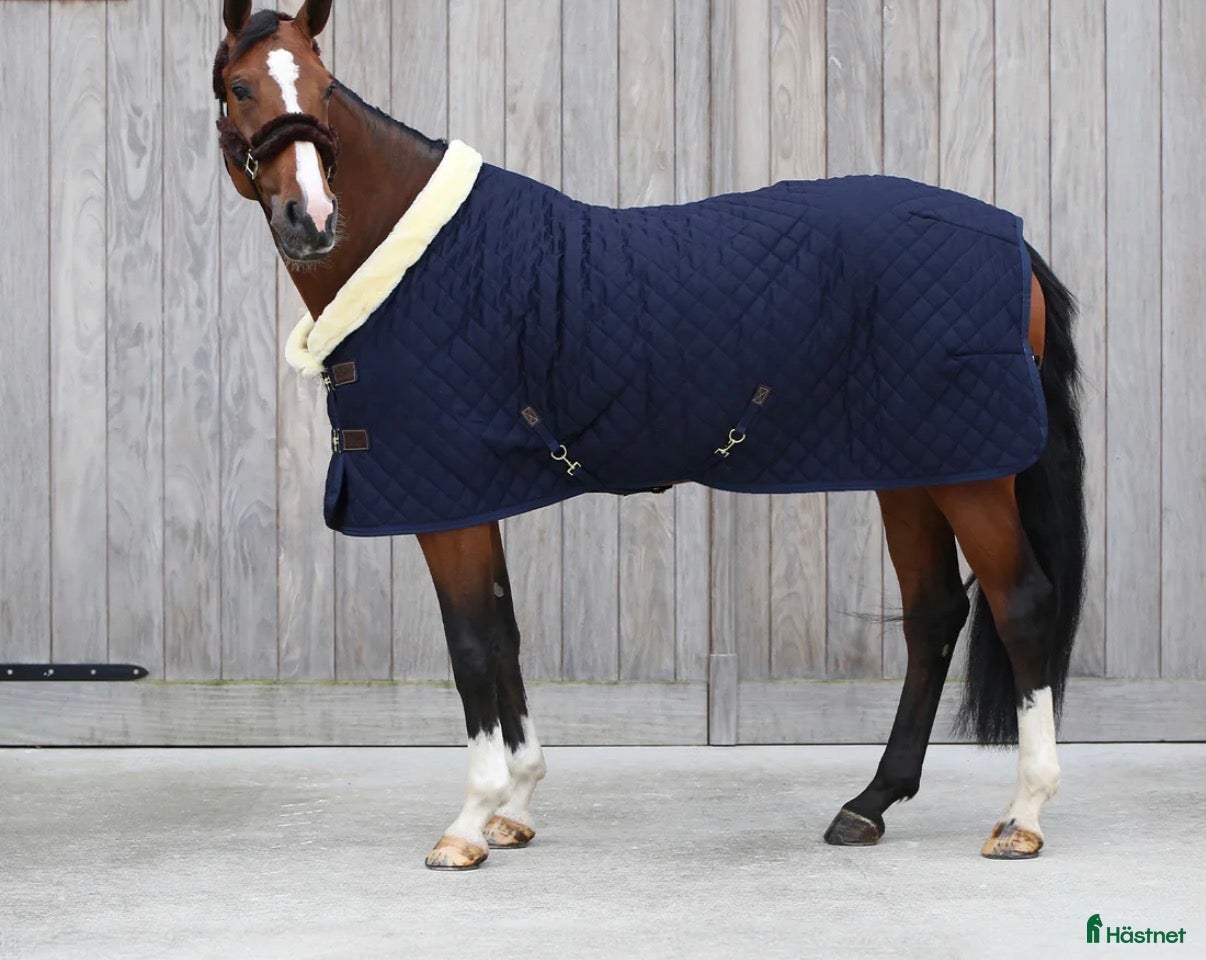 Täcken hästutrustning Jätte fint Kentaucky täcke  - Annons 23