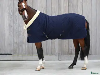 Täcken hästutrustning Jätte fint Kentaucky täcke - Annons 23