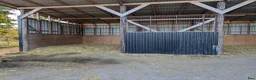  stallplats finnes: Lösdrifts plats med egen box - Annons 5